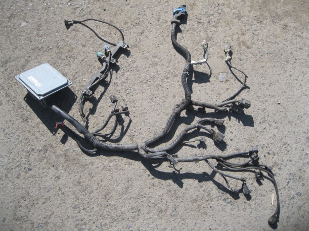Ford Focus 2 2005-2011 Проводка двигателя (Коса)