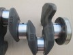 Ford Focus 2 2005-2011 Коленвал QQDB QQDA AODA