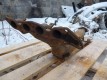 Ford Focus 2 2005-2011 Коллектор выпускной с катализатором