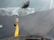 Ford Kuga 2 2013-2017 Стекло лобовое (ветровое)